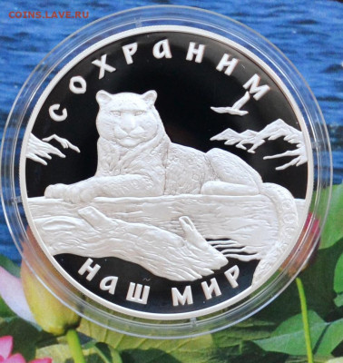 3 рубля Сохраним наш мир Снежный барс - DSC_0014.JPG