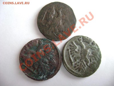 Денга 1738,1739,1744гг до 17.10.11гг 22.00МСК - DSC02553.JPG