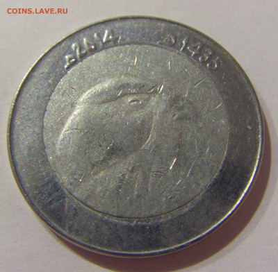 10 динар 2014 Алжир №1а 06.04.2021 22:00 МСК - CIMG7989.JPG