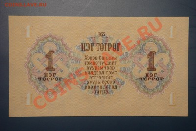 Боны мира-2 (пополняемая) - DSC01477.JPG
