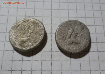 Статера Боспора (серебро)2 штуки, до 5.04.21 22 00 мск - статеры-2