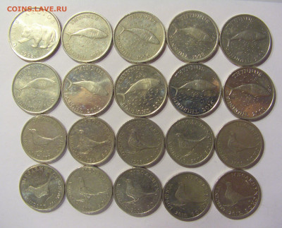 ФИКС! Совр. ходячка Хорватия четные года 07.04.21 22:00 М - CIMG8706.JPG