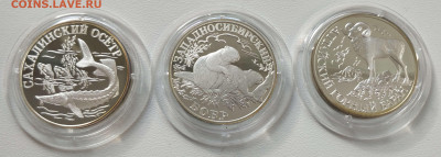 1 рубль Красная Книга 2001 комплект 3 шт.  до 08.04 четверг - IMG_20210403_104831