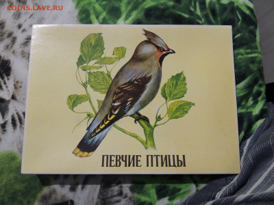 Вещи из прошлого на оценку и опознание. Пополняемая! - DSCN9960-min.JPG