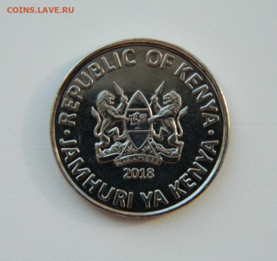 Кения 1 шиллинг 2018 г. (Фауна) до 08.04.21 - DSCN8346.JPG