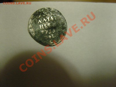 Алтынник 1711 - SNV15010.JPG