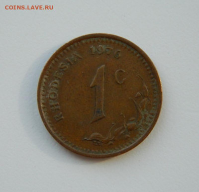 Британская Родезия 1 цент 1970 г. до 08.04.21 - DSCN8351.JPG