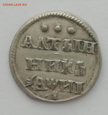 Алтынник 1718 (фуфел?) - IMG_20210406_161400