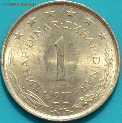Югославия 1 динар  1977. 10. 04. 2021 в 22 - 00. - DSC_0990.JPG
