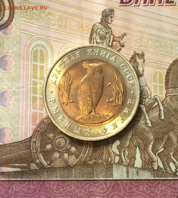 К.К. 5 рублей 1991г. Филин. без оборота. до 11.04.21 - IMG_4713.JPG