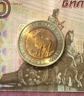 К.К. 5 рублей 1991г. Козел. без оборота. до 11.04.21 - IMG_4715.JPG