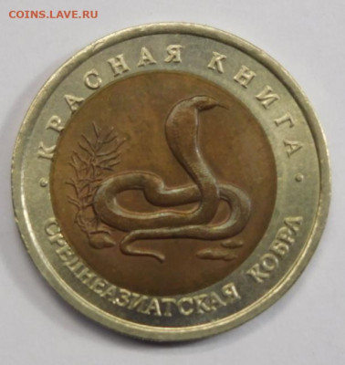 10 руб 1992г.Среднеазиатская кобра.Сдвиг внутренней вставки. - DSCN2673.JPG