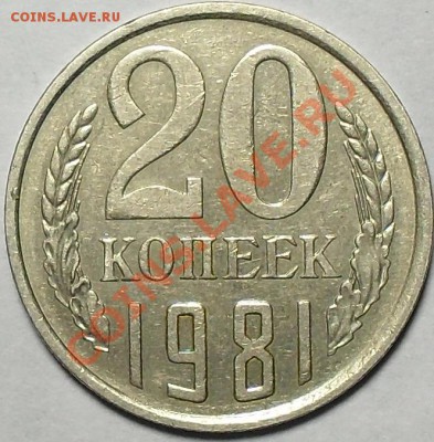 20 копеек 1981г Хребет. До 19.10.11г 22.00 по МСК - SDC13210.JPG