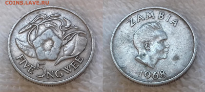 Монеты мира по фиксированной цене - ЗАМБИЯ 5 нгве 1968 20191124_1246