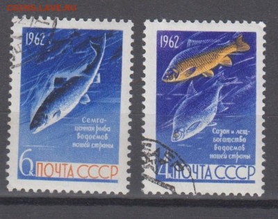СССР 1962 рыбы 2м до 16 0-4 - 7