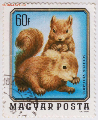 Марка Венгрии  1976 г. до 17.04.21 г в 23.00 - 007