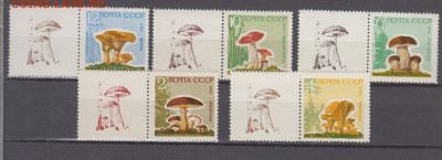 СССР 1964 грибы 5м с одинаковым купоном (1) - 415