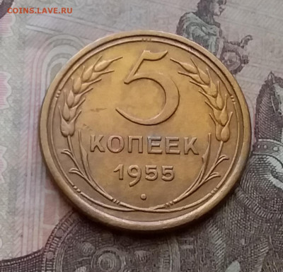 5 копеек 1955. До 14.4.21 в 22.00 - 20210411_145241