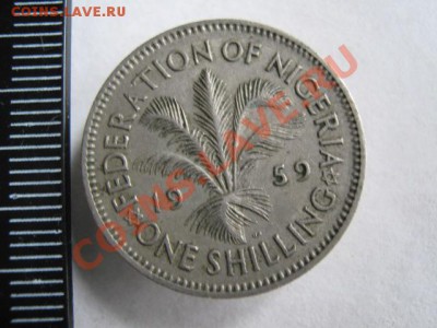 Британская Нигерия шиллинг 1959 до 18-10-11 22-00 - IMG_6784