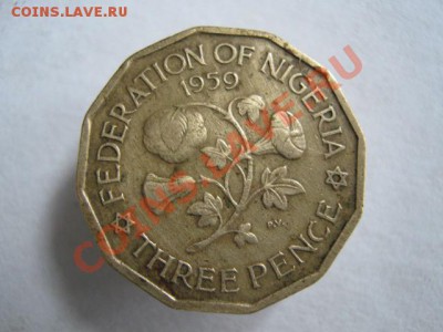 Британская Нигерия 3 пенса 1959 до 18-10-11 22-00 - IMG_6803