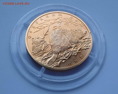 100 рублей Речной бобр UNC до 19.04.2021г в 22.00 - 3
