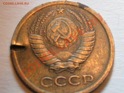 Таких полно - IMG_4689.JPG