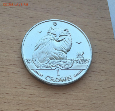 Крона Шайба Остров Мэн 1 крона 1995 Турецкая ангора кошка - IMG_4508.JPG