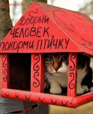 юмор - HMXU4BJD7Oc