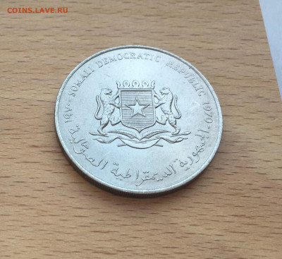 Крона Шайба Сомали 5 шиллингов 1970 ФАО Корова коза овца - IMG_4303.JPG