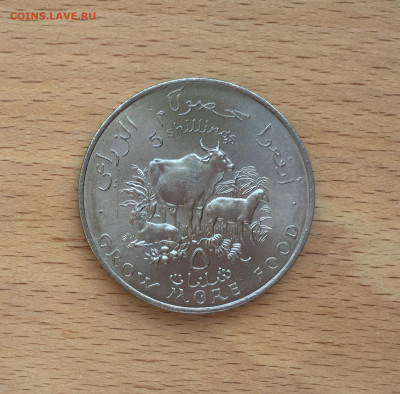 Крона Шайба Сомали 5 шиллингов 1970 ФАО Корова коза овца - IMG_4293.JPG