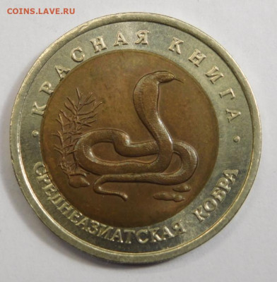 10 руб 1992г.Среднеазиатская кобра.Сдвиг внутренней вставки. - DSCN2911.JPG