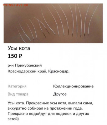 Приколисты на Авито и не только. - pe6Bi8P1lgE