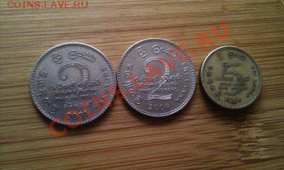 Монеты разных стран и номиналов (пополняемая). - 65 шри ланка