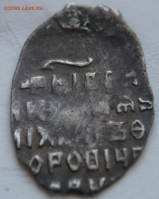 Две чешуйки на определение и оценку - P1440201.JPG