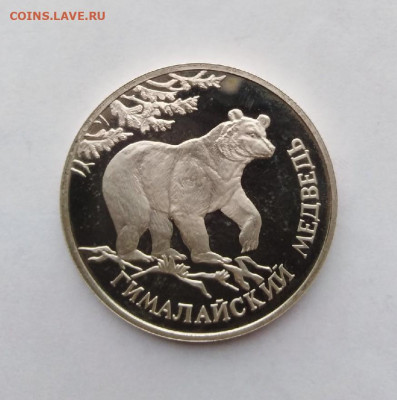 1 рубль 1994г Гималайский медведь пруф ,до 22.04.2021г - 1
