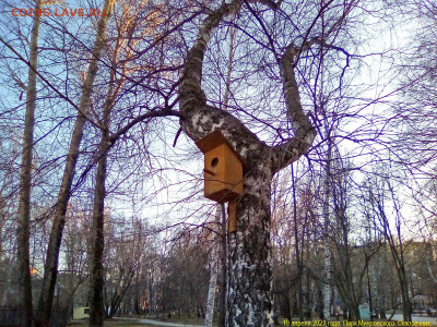 ФОТО - просто фото. Те что получились удачными. - 2021-04-19 19-54-23