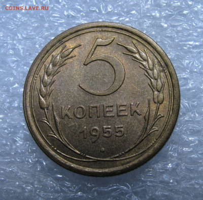 5 КОПЕЕК 1955 года. UNC. 22.04.2021 в 22.00.00 МСК - 5к55.JPG