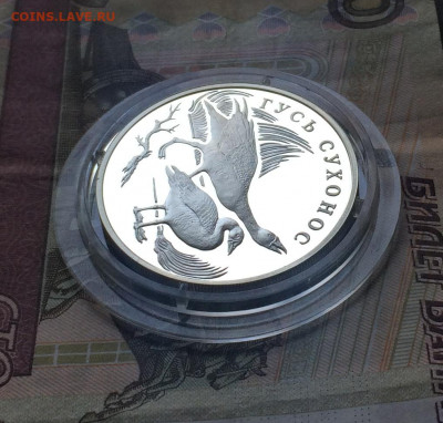 Красная книга. 1 рубль 2006 года.Гусь-сухонос. Пруф до 23.04 - IMG_4812.JPG