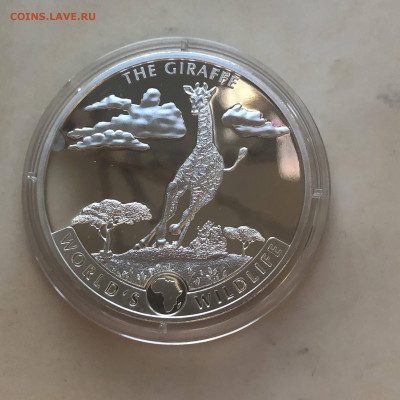 Конго 20 франков 2019 Жираф, до 26.04. - 46cs9357pTg