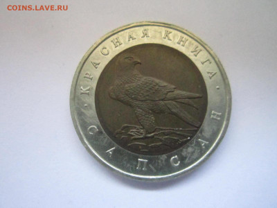 с 200 кк Сапсан 50 руб 1994 до 25.04.21 в 22:30 - IMG_4841.JPG