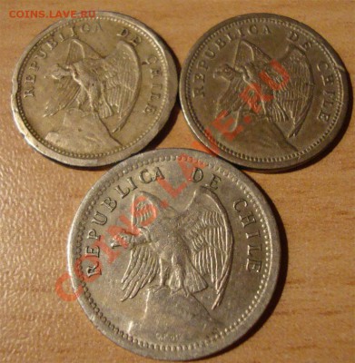 шт - chili-coins-01