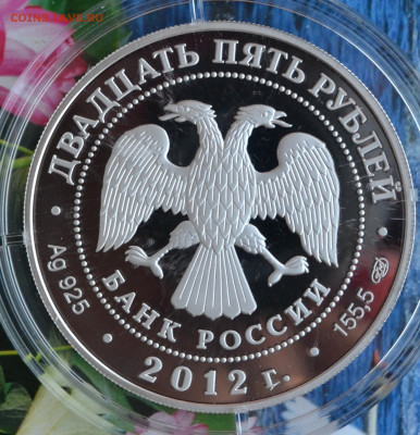 25 рублей Воронеж Александрово Акатов монастырь - DSC_0098.JPG