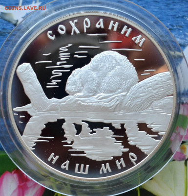 25 рублей сохраним наш мир Бобер - DSC_0012.JPG