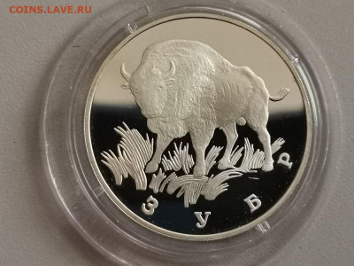 1р 1997г Красная книга - Зубр, Ag900, до 25.04 - Y Зубр-1