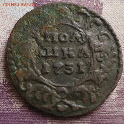 полушка 1731г перечекан из копейки 1728г - DSC05815.JPG