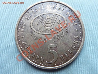 МАКЕДОНИЯ 5 динар 50-лет ФАО РЫСЬ до 21.10.11 в 22-00 - MEMO0004.JPG