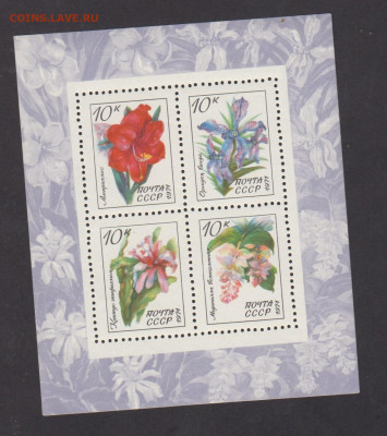 СССР 1971 цветы блок * до 30 04 - 12