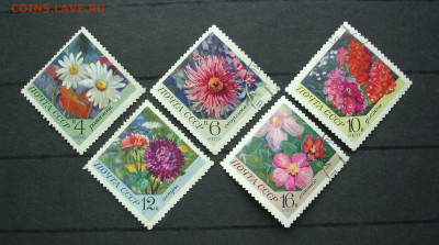 СССР. 1969-70 г.. Флора.  До 27.04.. - IMG_9672.JPG