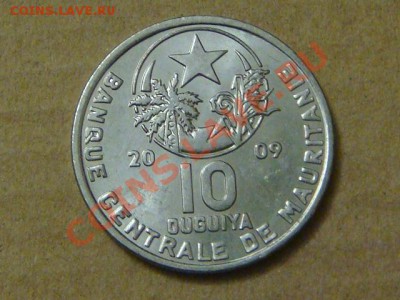 -v- Мавритания 10 угия 2009г до 21.10(21.00) - DSC04930.JPG