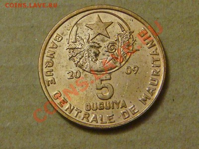 -v- Мавритания 5 угия 2009 до 21.10(21.00) - DSC04928.JPG